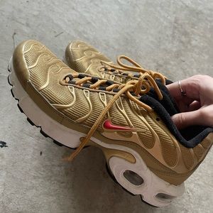 Nike Air Max Plus